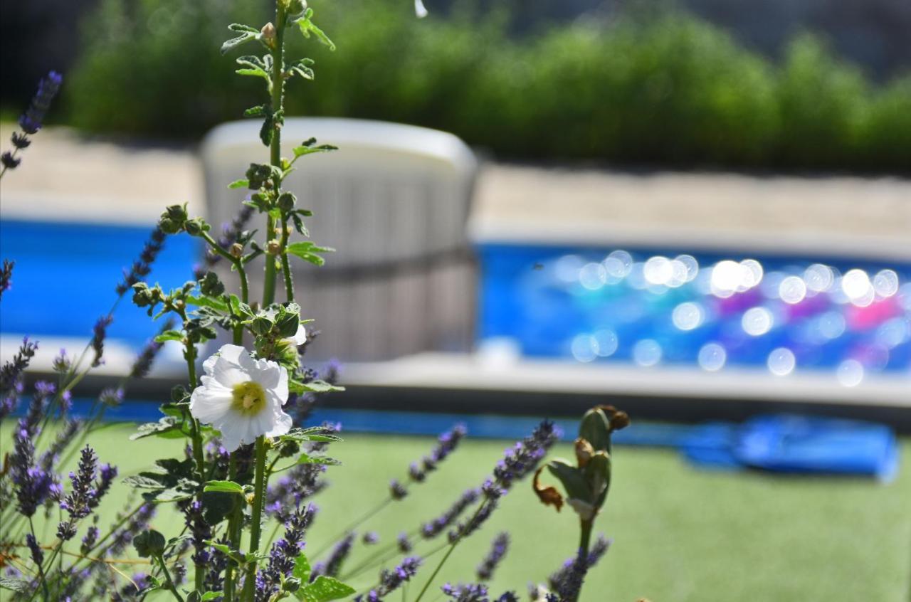 Holiday home Kuca Za Odmor Diana